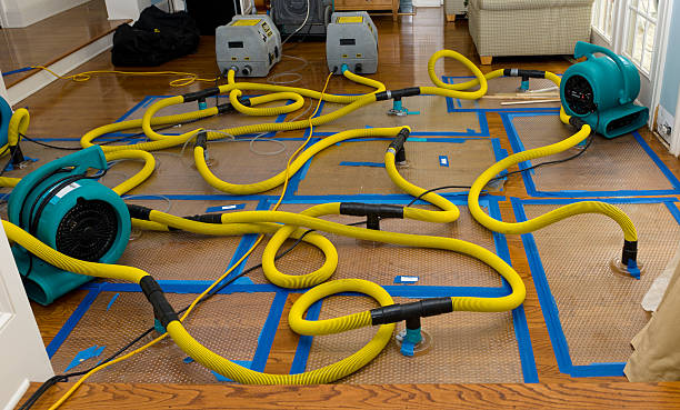 Professional Water Damage Restoration technician working in Montrose, CA